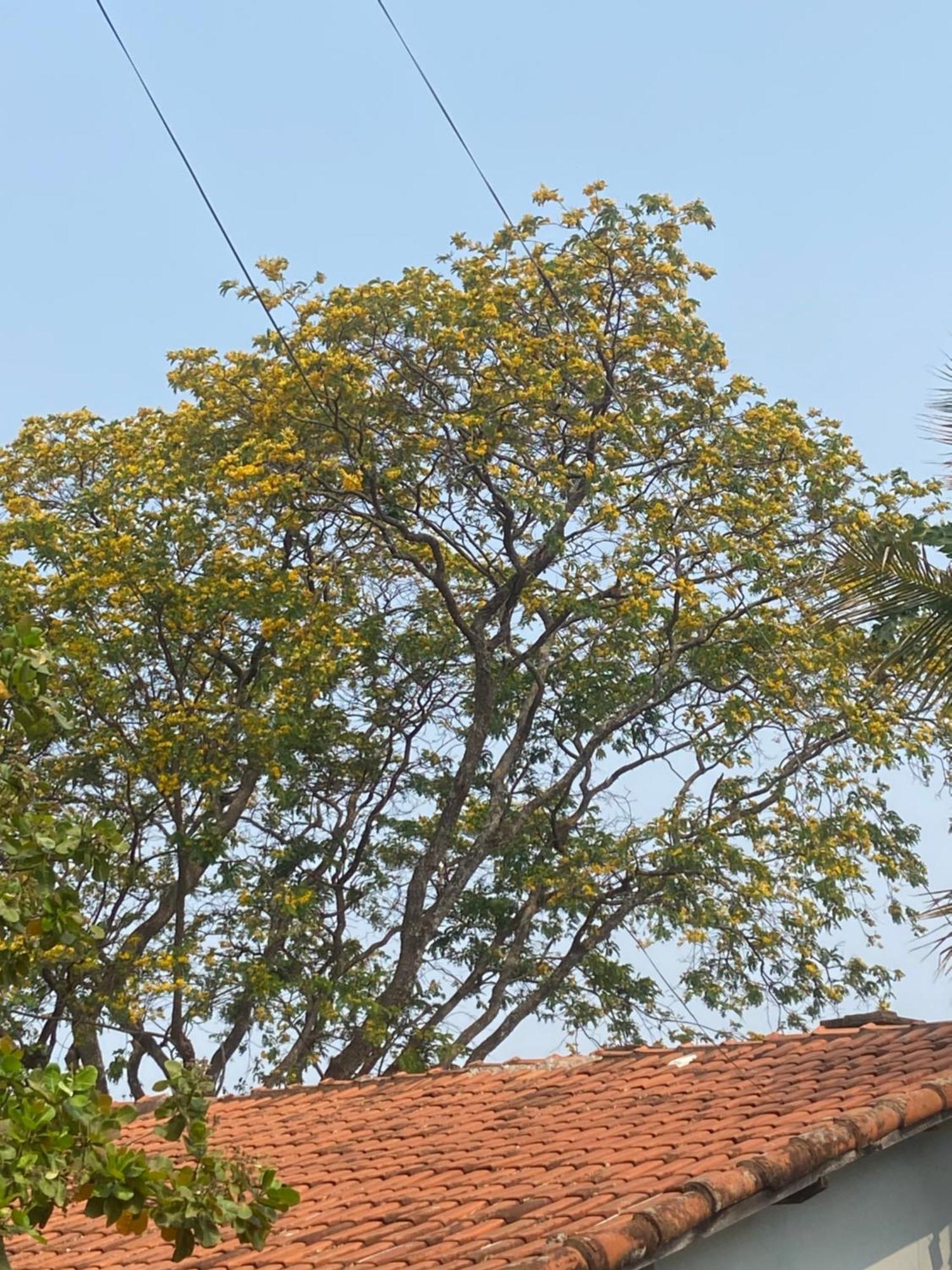 Quarto Privativo Chacara Pe Na Roca Brotas Zewnętrze zdjęcie